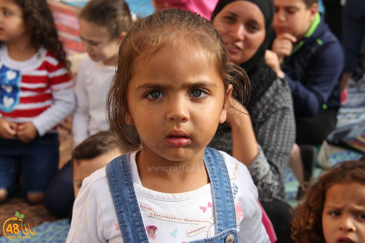 mahrajan jmaehery uwq (32).jpg